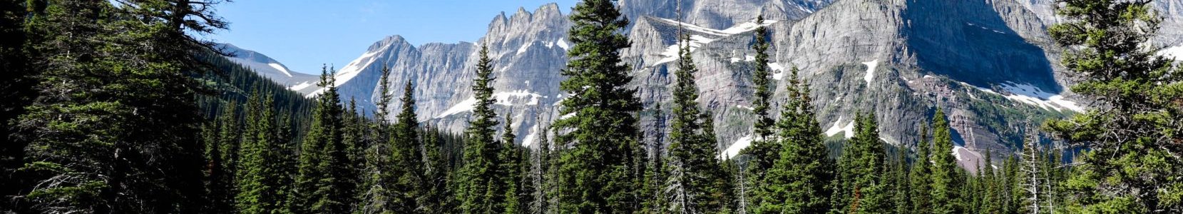 The Wonders of Camping and Hiking.